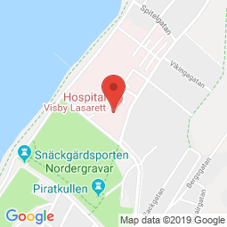 öron näsa hals visby